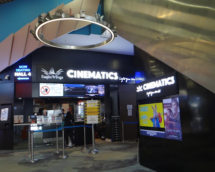Cinemas in Singapore turn to private bookings as movie attendance falls
