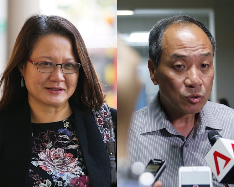 After 4-hour debate, Parliament calls on AHTC to remove Sylvia Lim, Low Thia Khiang from financial responsibilities