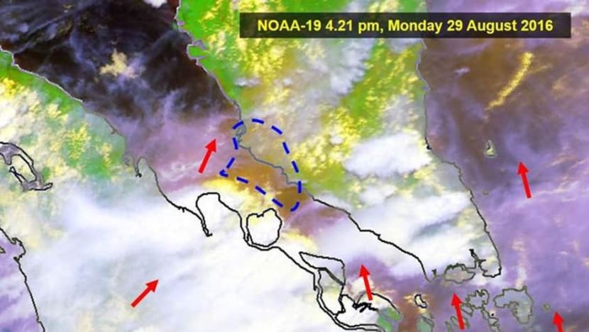 Haze: PSI for the next 24 hours expected to be in moderate range