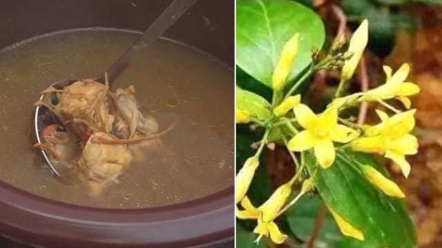 煲汤误放“断肠草” 广东一家六口险丧命