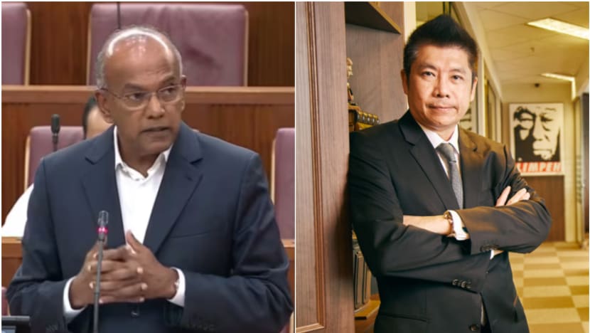 Law and Home Affairs Minister K Shanmugam rebukes Law Society vice-president over comments on rape case