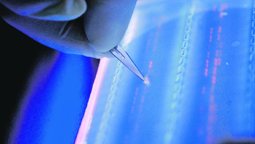 Laws to protect subjects, tissue donors in human biomed research passed