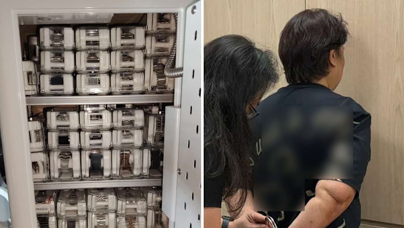 Woman arrested, 179 luxury watches worth over S$1 million seized in IRAS raids