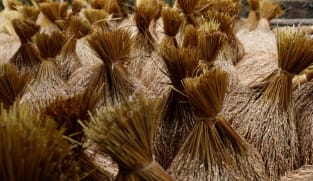 Vietnam, Indonesia agree to sign rice trade deal as shipments plunge