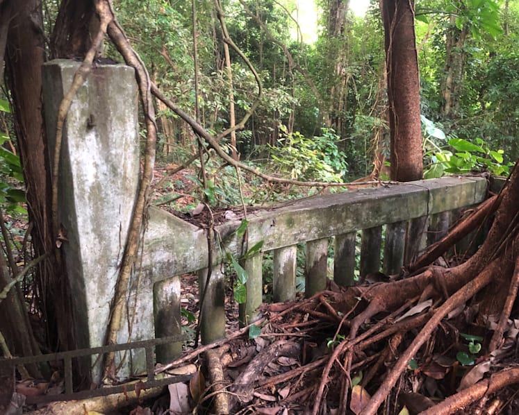 Forested area where woman was found motionless not a designated hiking trail, highly risky, say seasoned hikers