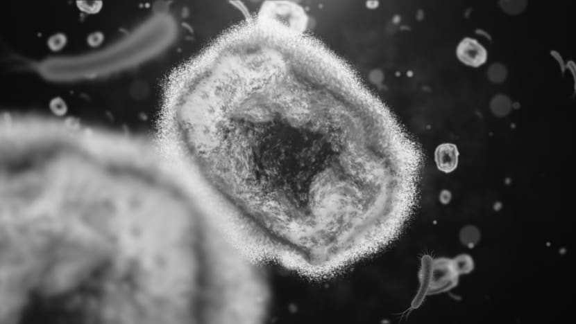 WHO declares monkeypox a global health emergency amid rising cases