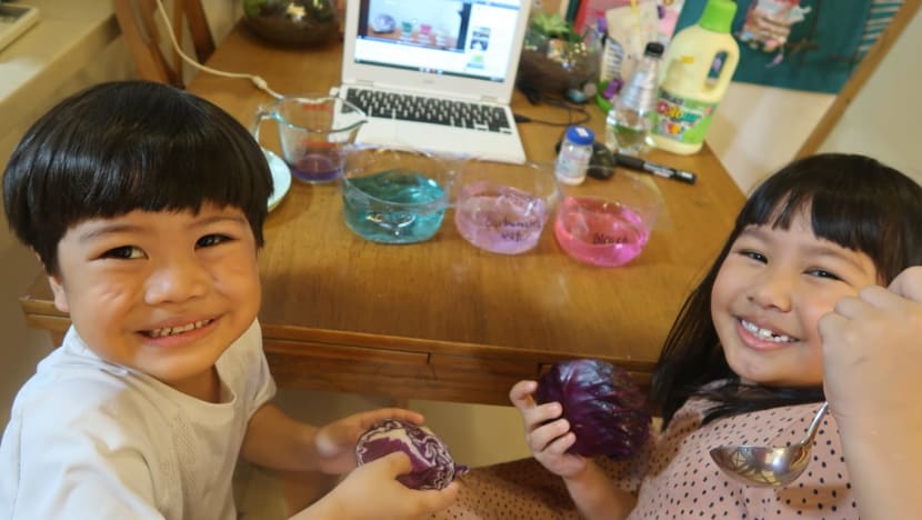 School holiday fun at home: Kids can go online to stargaze, study about animals, do science experiments