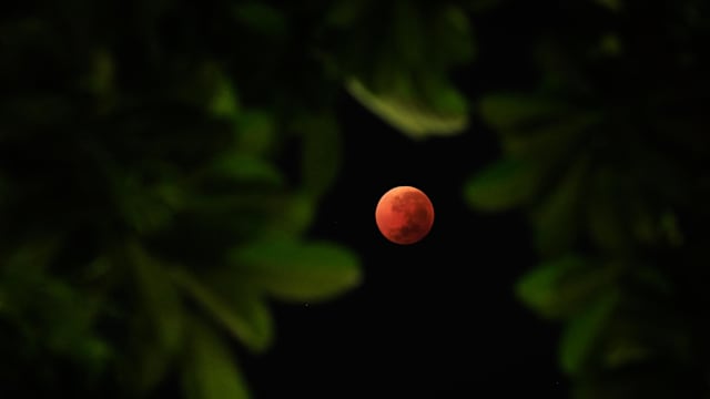 全球多地迎来罕见血月 不少天文爱好者前往最佳地点赏月