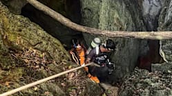 Related article image