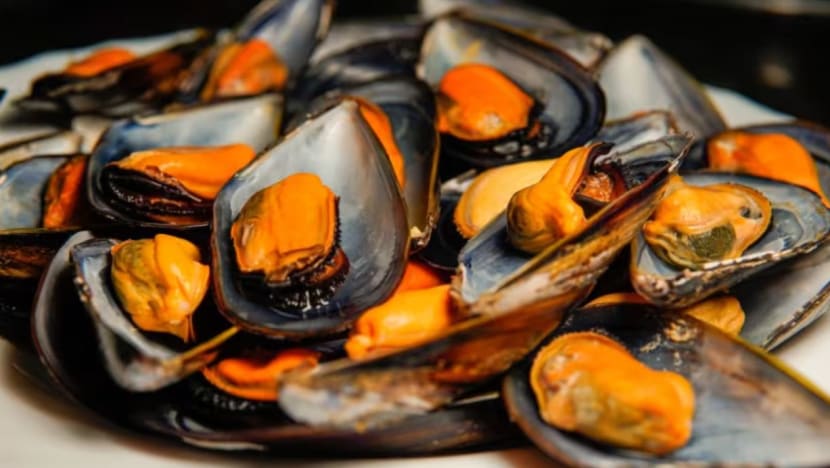 SG sekat penjualan, bekalan kupang tercemar dari Port Dickson Malaysia