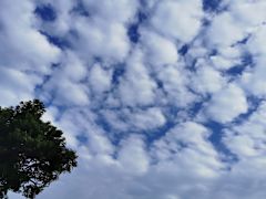 【广播事】岁末一页