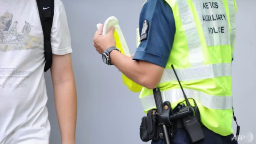 Firma keselamatan alu-alukan bekalan polis tambahan dari pelbagai negara,  pekerja tempatan tetap diberi keutamaan