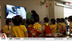 New ZooSchool at Mandai Wildlife Reserve to offer children immersive learning programmes