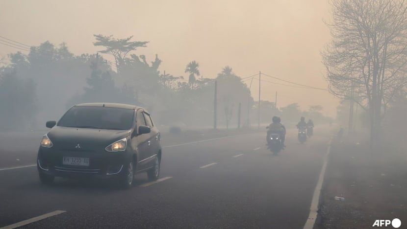Indonesian police arrest 72 over forest fires causing choking haze