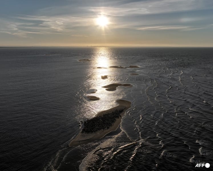 Russian frigate fires flares towards Danish military helicopter, Denmark says Russian frigate fires flares towards Danish military helicopter, Denmark says