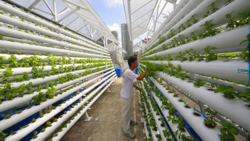Singapore tops index measuring food security, but vulnerable to trade and climate-related risks
