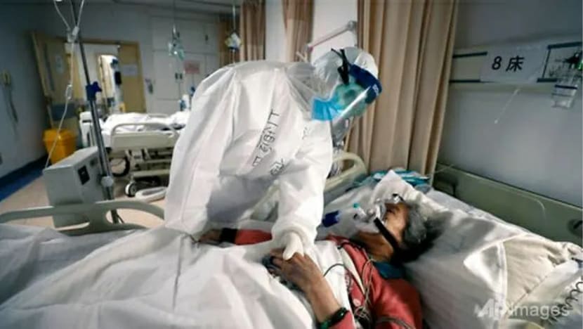 Koronavirus mungkin merebak ke manusia daripada kelawar melalui 'haiwan perantara': laporan WHO