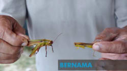 Related article image