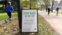 Related article image