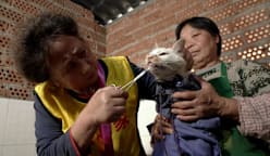 Undercover Asia - Pasar Gelap Hewan China