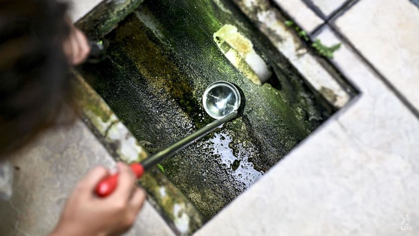 'Fast-growing' dengue cluster detected in Yio Chu Kang, 135 cases so far: NEA 'Fast-growing' dengue cluster detected in Yio Chu Kang, 135 cases so far: NEA