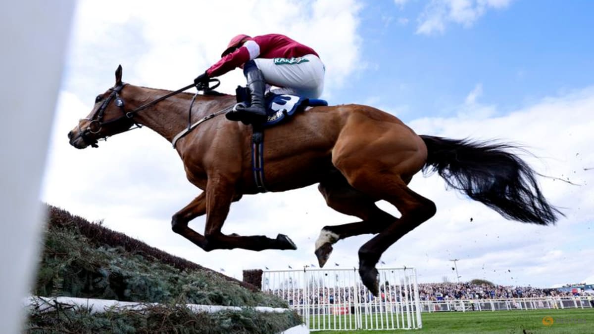 Horse Gold Dancer Euthanized After Fatal Injury During Aintree Grand National Meeting