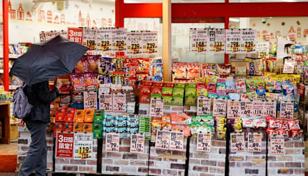 Japan wholesale inflation slows in October