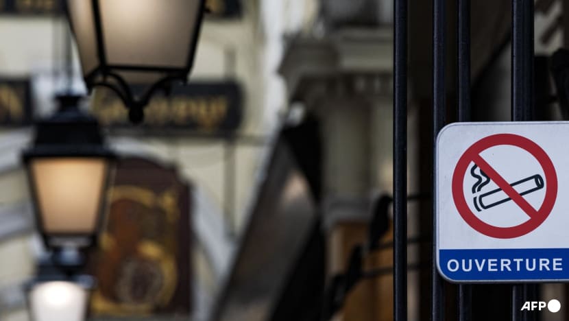 France bans smoking in beaches, in parks and bus shelters