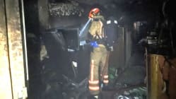 Related article image