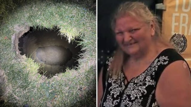 美国妇女外出找宠物猫 失足掉入天坑身亡
