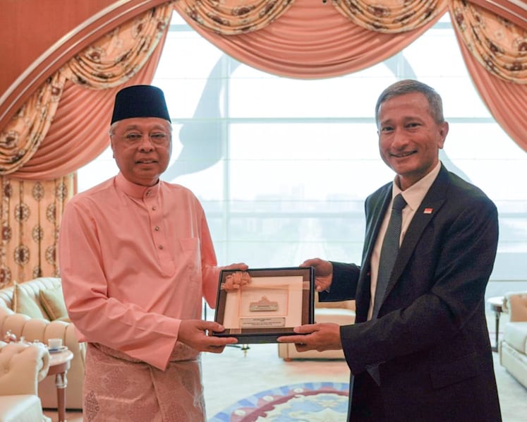Singapore, Malaysia affirm mutual support, welcome full reopening of borders during Vivian Balakrishnan's visit