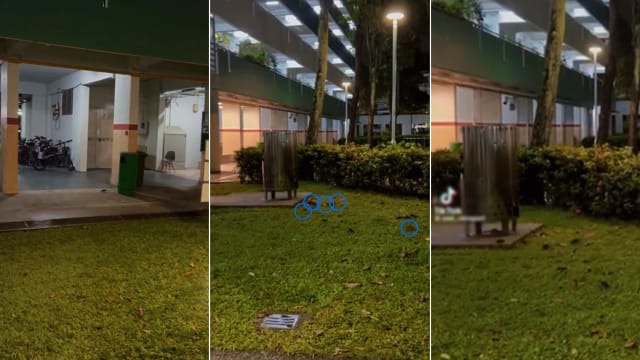 横行不怕人！宏茂桥组屋区“鼠踪连连”