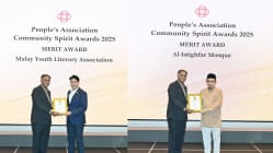 Related article image