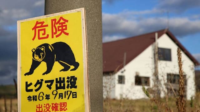 日本北海道首起熊袭人 猎人开枪遭反击重伤