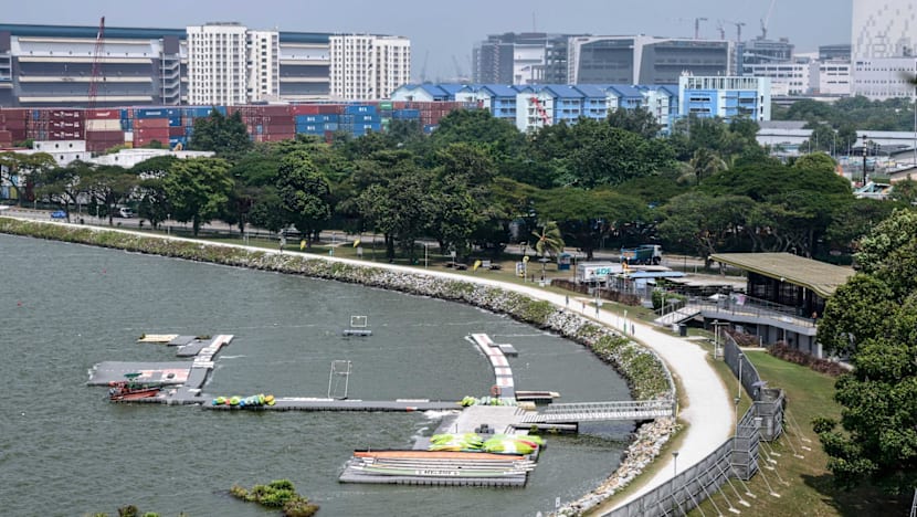 'Nothing special': Residents near Pandan Reservoir shrug off crocodile sighting