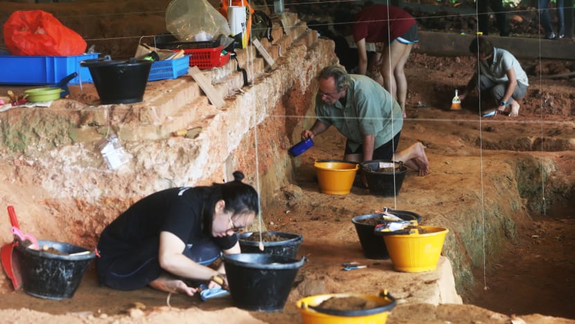 Digging Fort Canning Park: Refreshed archaeological site, restored gardens to open by June 2019