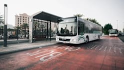 Related article image