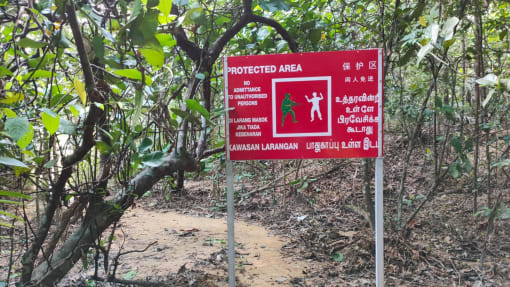 Man suffers gunshot wound while cycling in restricted forested area near SAF live-firing activity