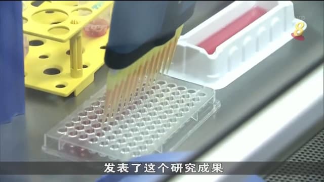 日本科学家成功用皮肤细胞 培育出能长出头发毛囊