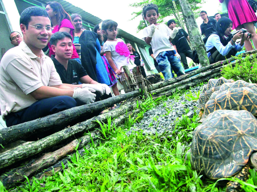 Wildlife sanctuary for rescued animals opens