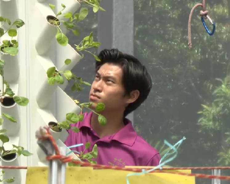 Why some young Singaporeans are becoming farmers, despite low pay and tough conditions