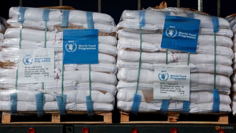 Some flour reaches Gaza as blockade eases, aid groups call for more