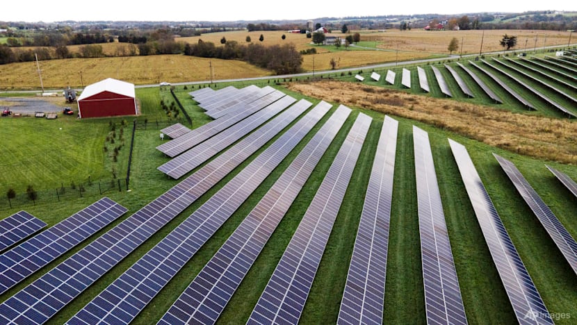 Solar power rises above policy, weather headwinds in the US and UK