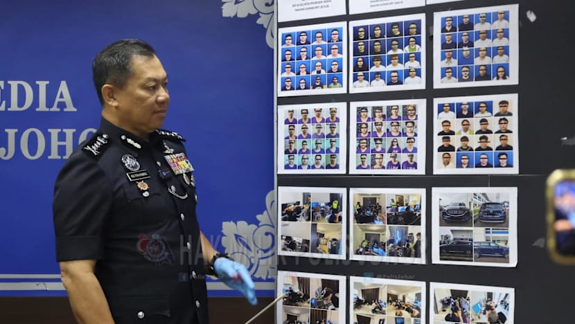 Johor police arrest 335 scam suspects in Forest City crackdown
