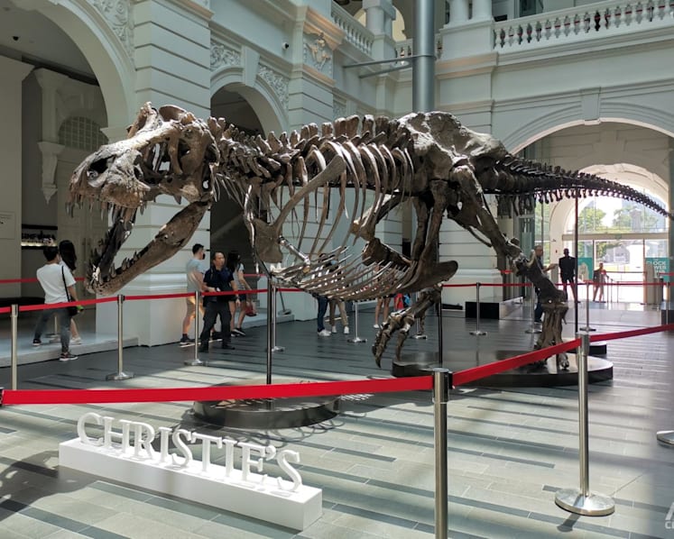 In pictures: Shen the T. rex skeleton on display in Singapore