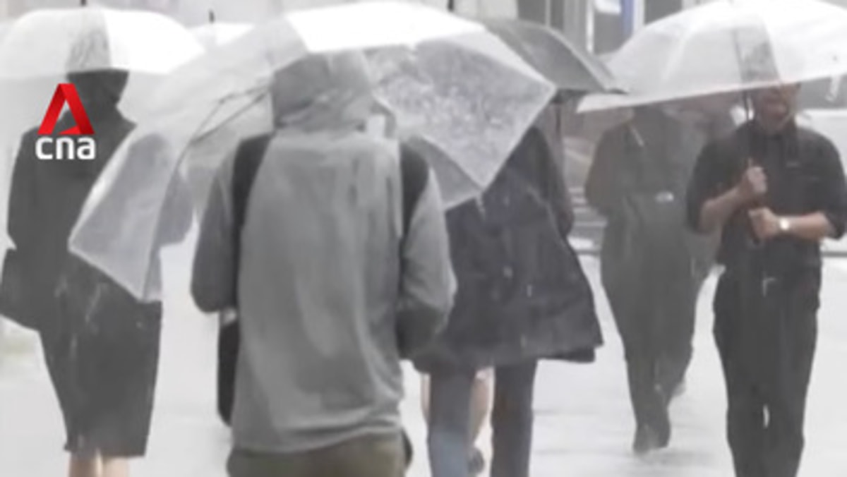 Tropical storm triggers floods and landslides in parts of Japan
