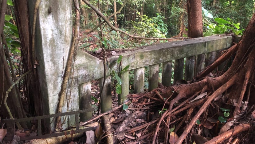 Kawasan hutan pendaki ditemui tidak bergerak, dalam laluan pendakian berisiko tinggi