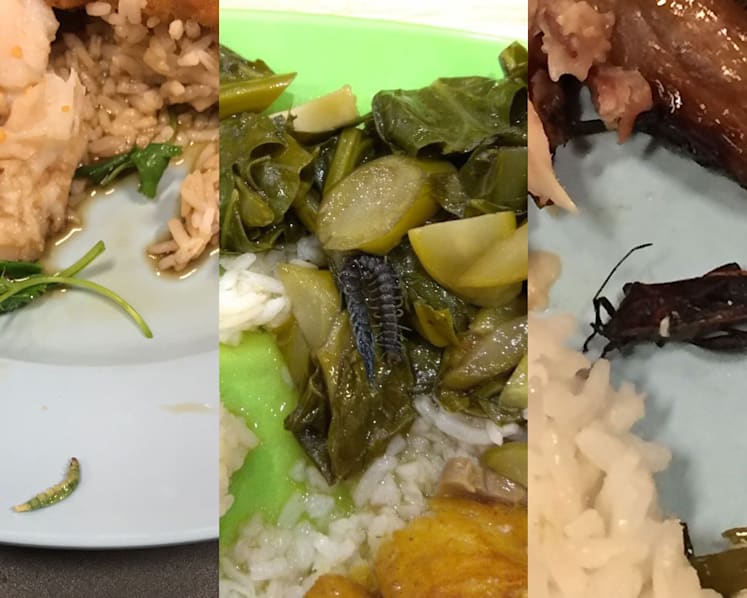 Several cases of food poisoning, hygiene lapses at NUS residences in past two years