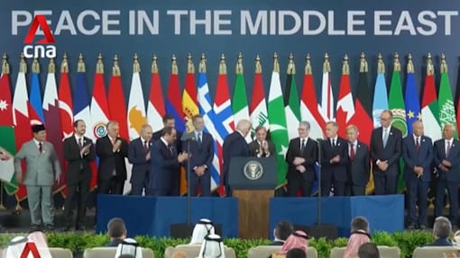 Trump's one year in office: Israel-Hamas war, Gaza peace plan, tensions with Iran in the spotlight 