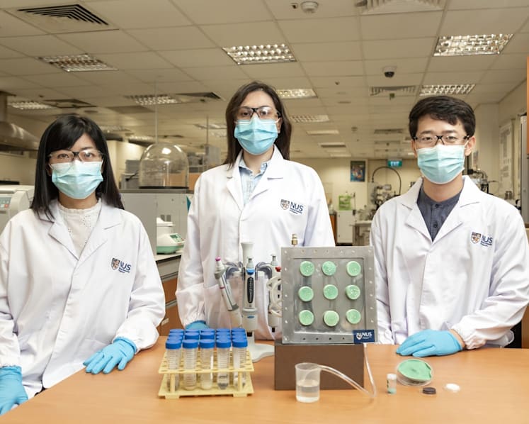 NUS researchers create aerogel that turns air into drinking water